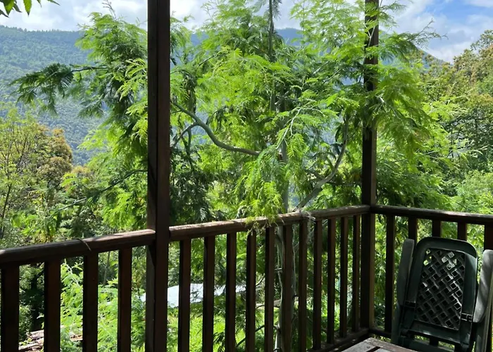 La Casetta Nel Bosco Semesterbostad *